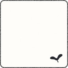 Cotton White