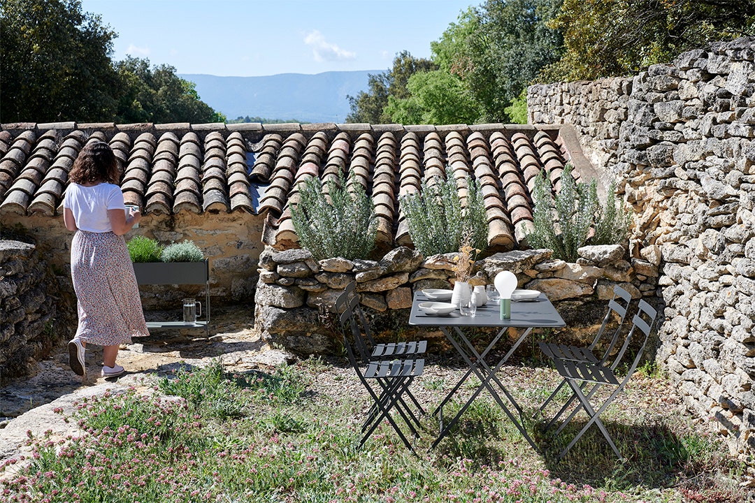 Cactus,Carbone