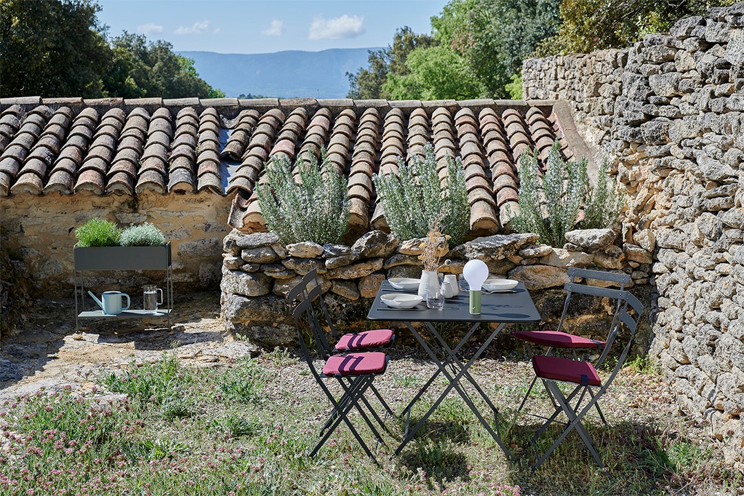 Cactus,Carbone
