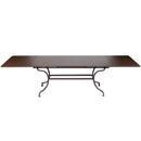 Table with extension 300 x 100 cm